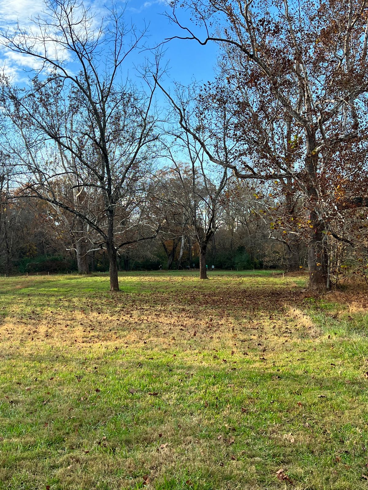 Hole 5 Tee