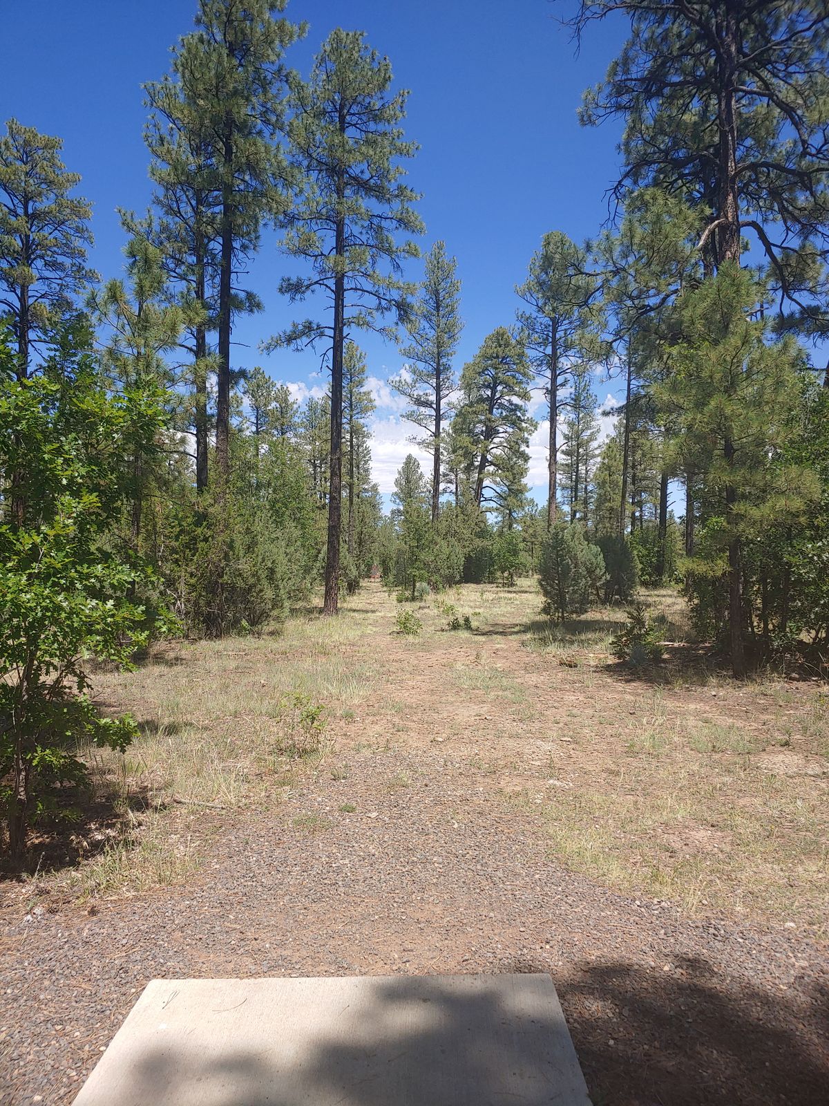 Hole 12