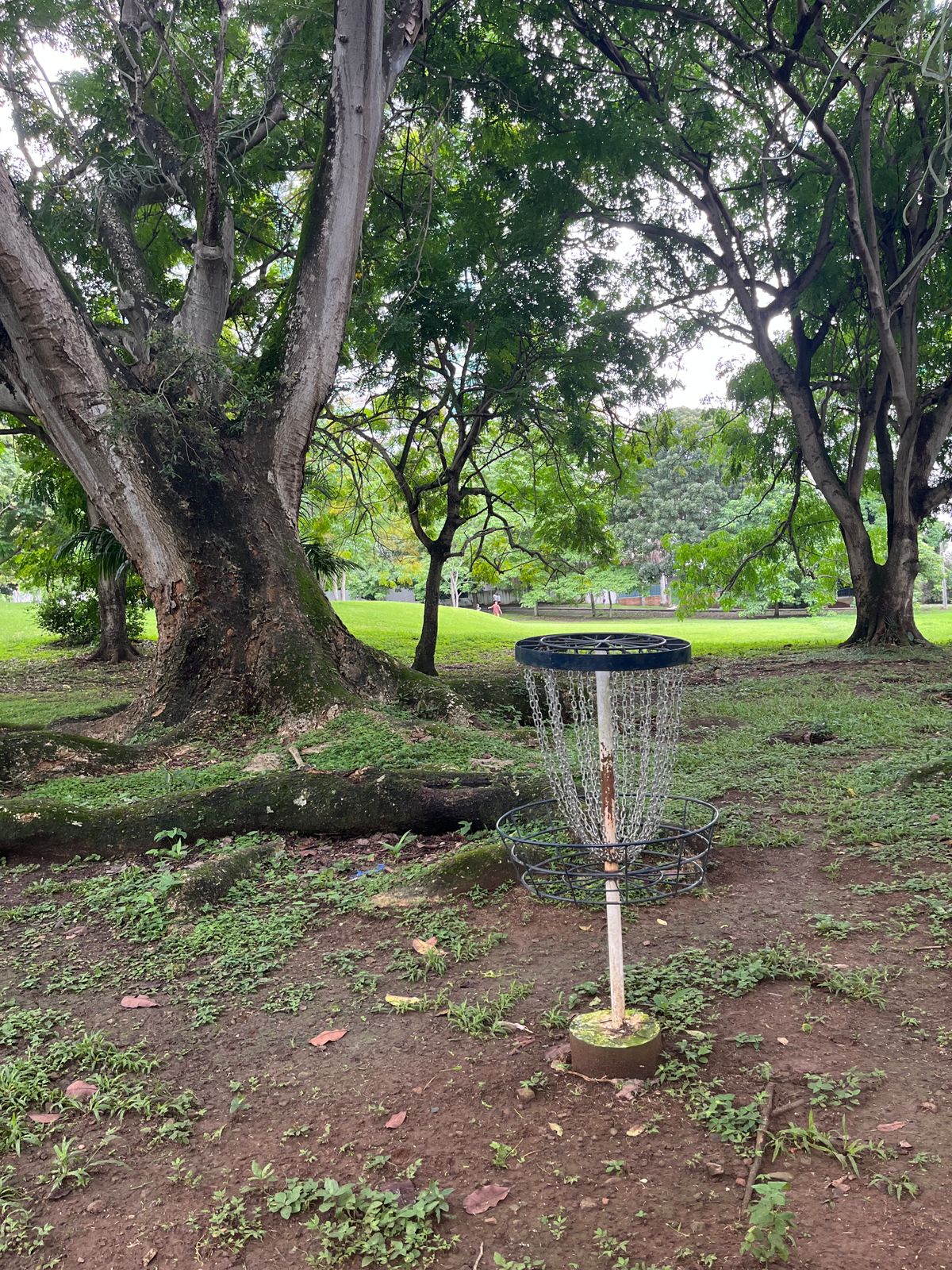 Hole 6 basket