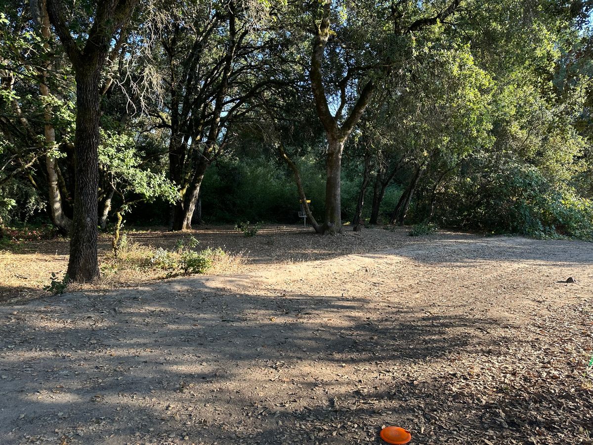 Hole 16 green