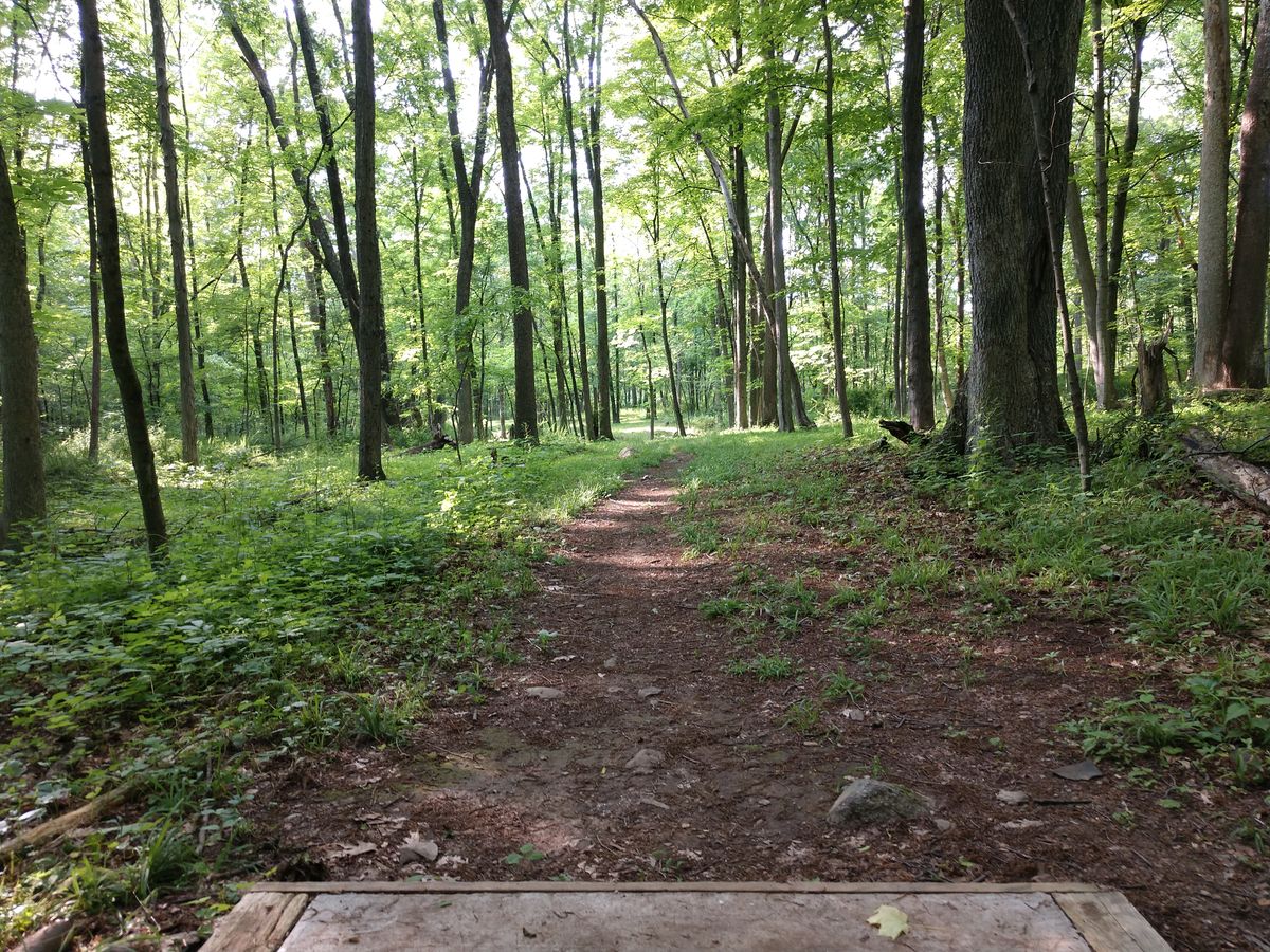 Hole 4