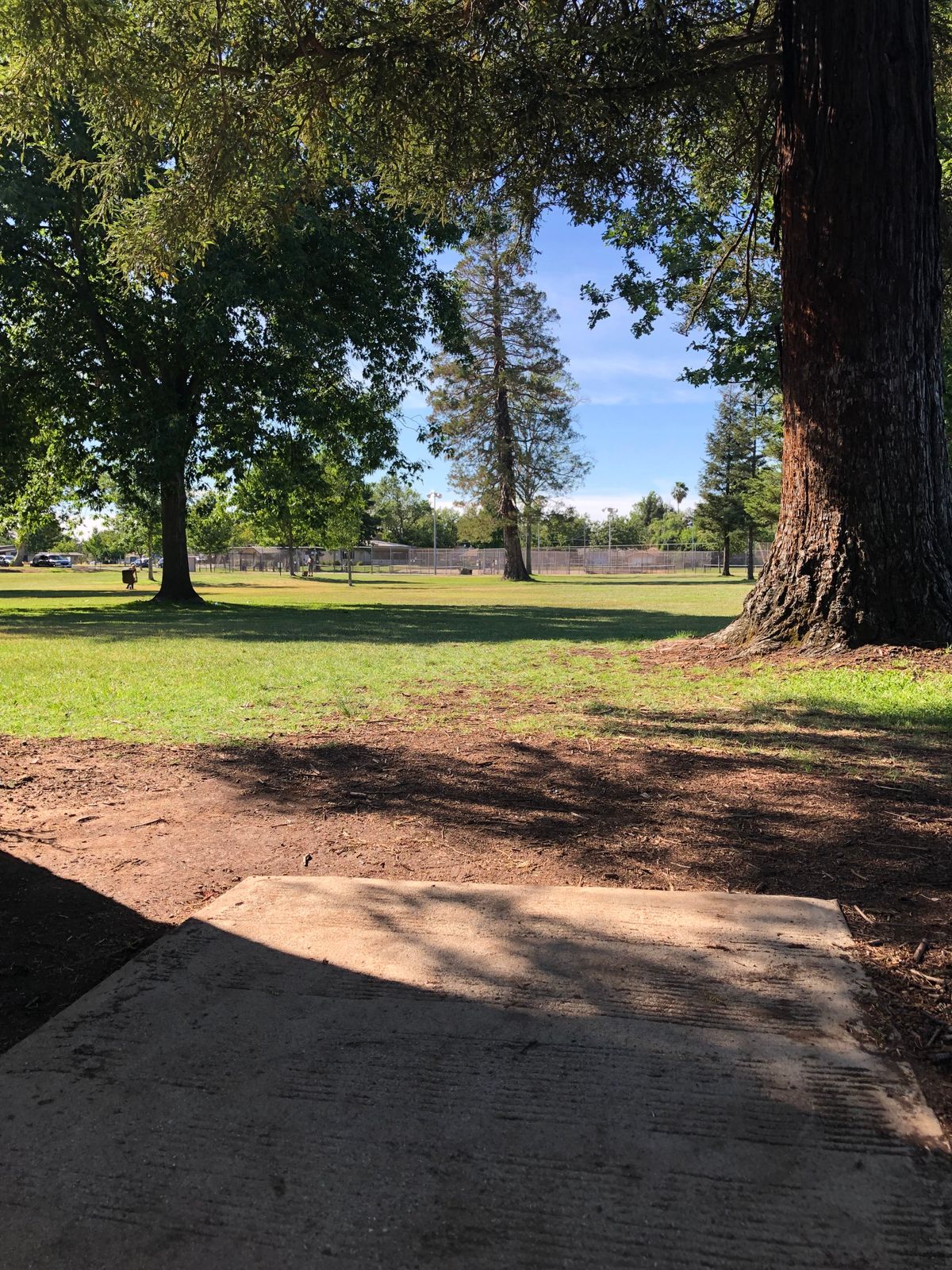 Hole 4