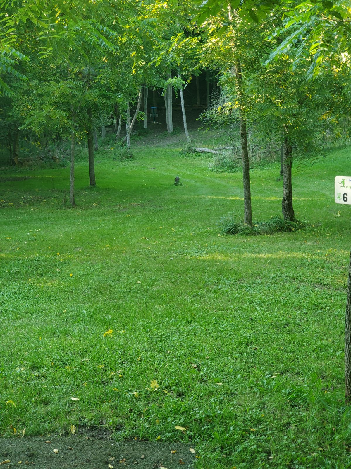 Hole 6