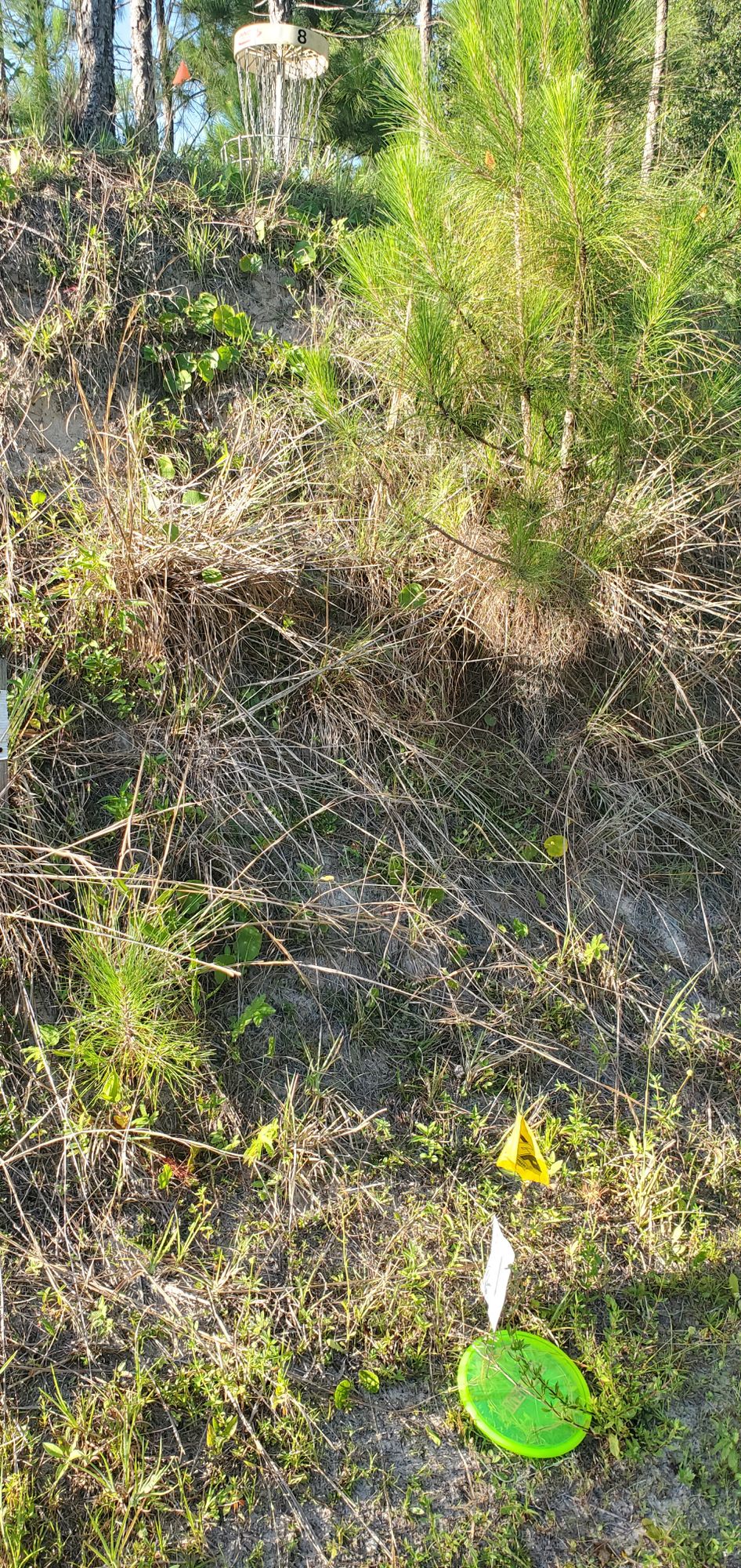 The mound