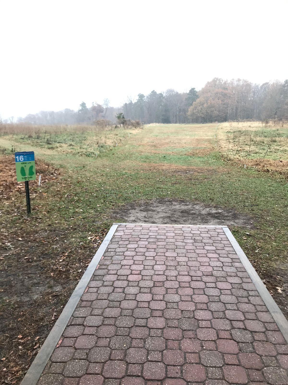 Hole 16 long tee