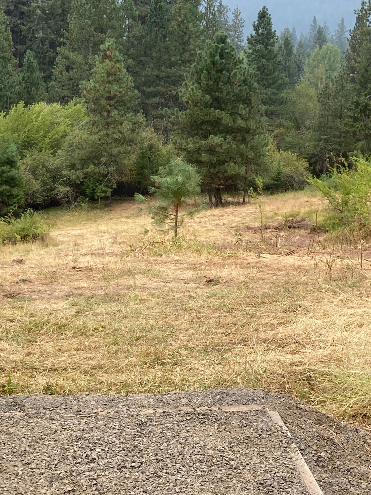 Hole 7.  Oh there you are, you pesky basket!