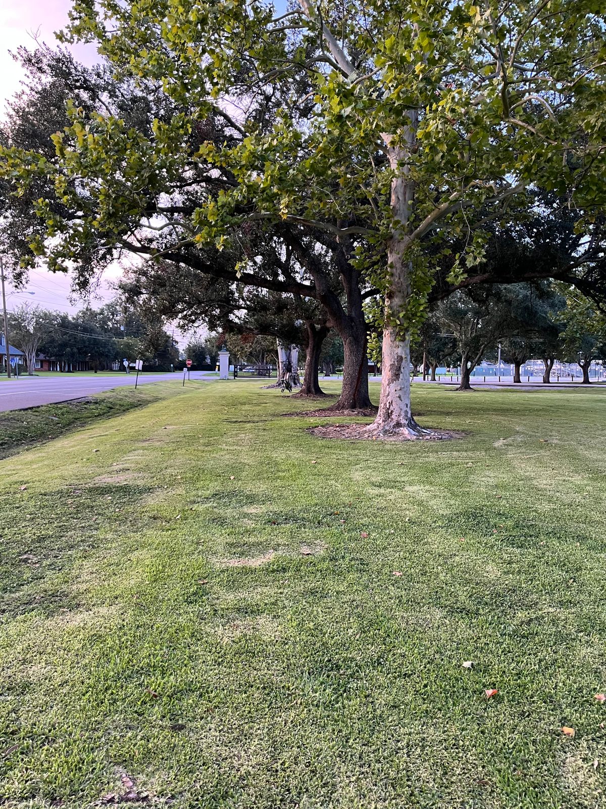 Hole 4 Fairway (cart represents target)