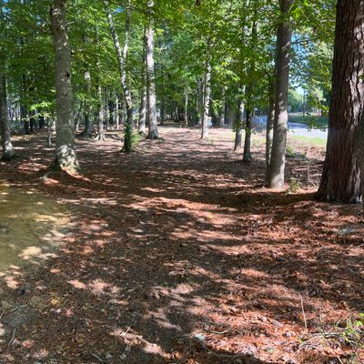 Hole 2