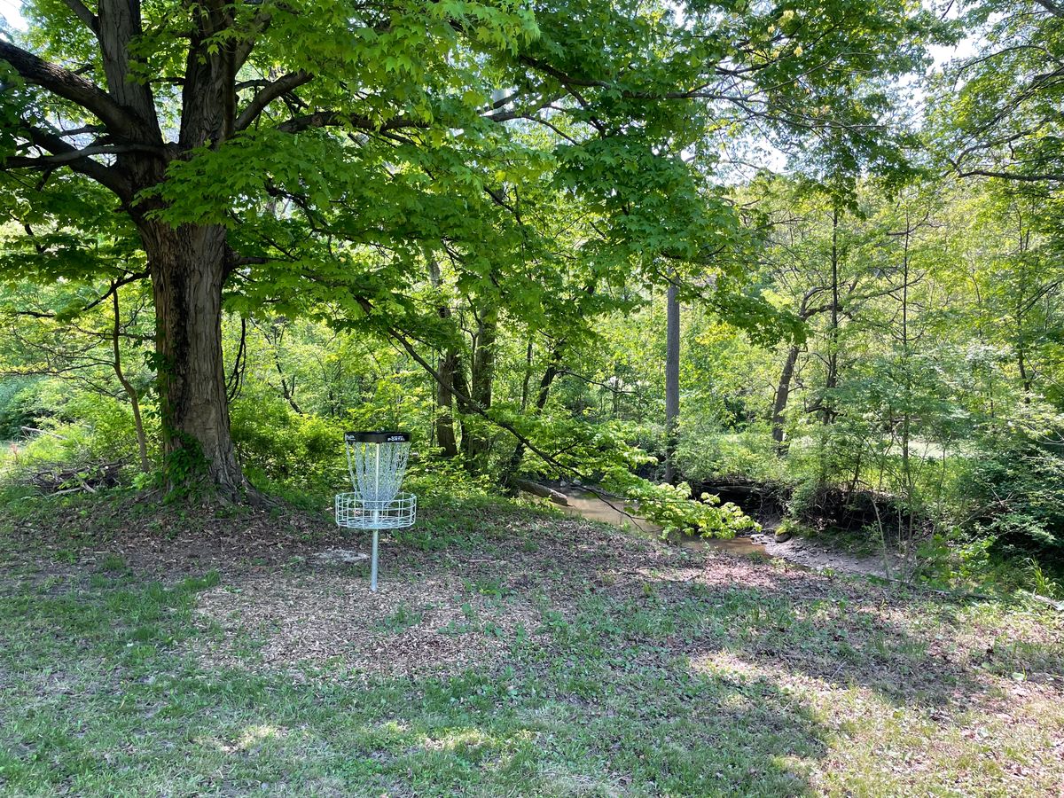 Hole 7 Basket