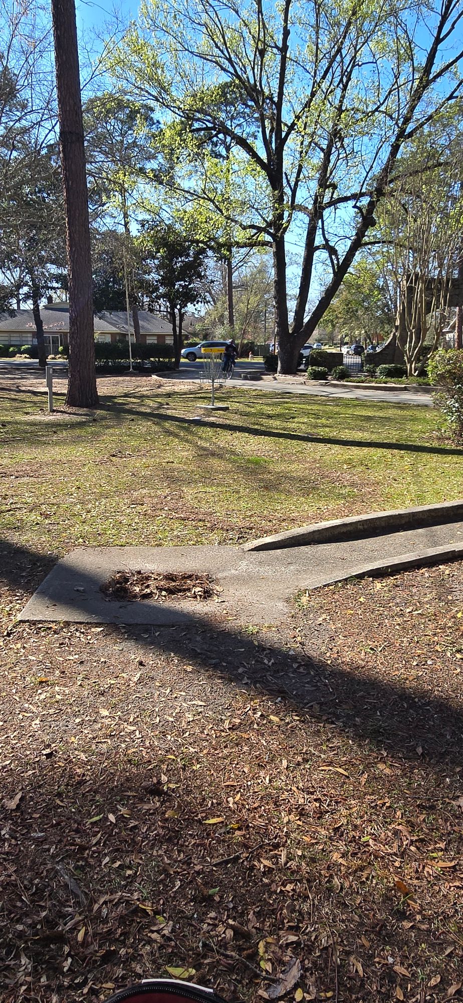 Hole 7 basket