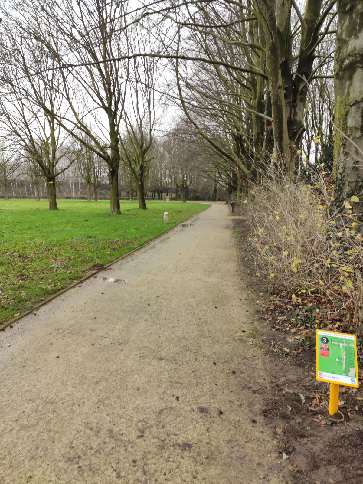Beginner hole 3