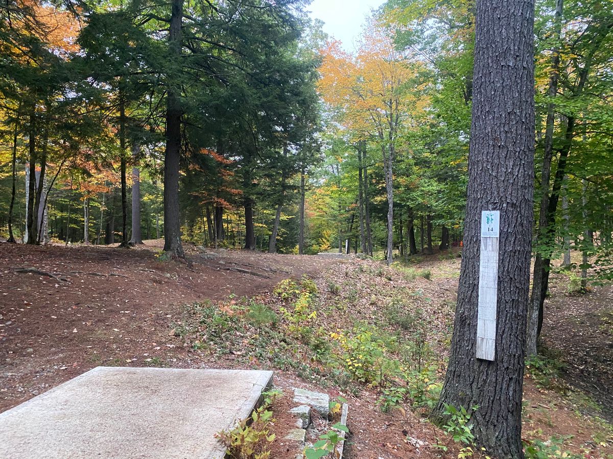 Teebox 14