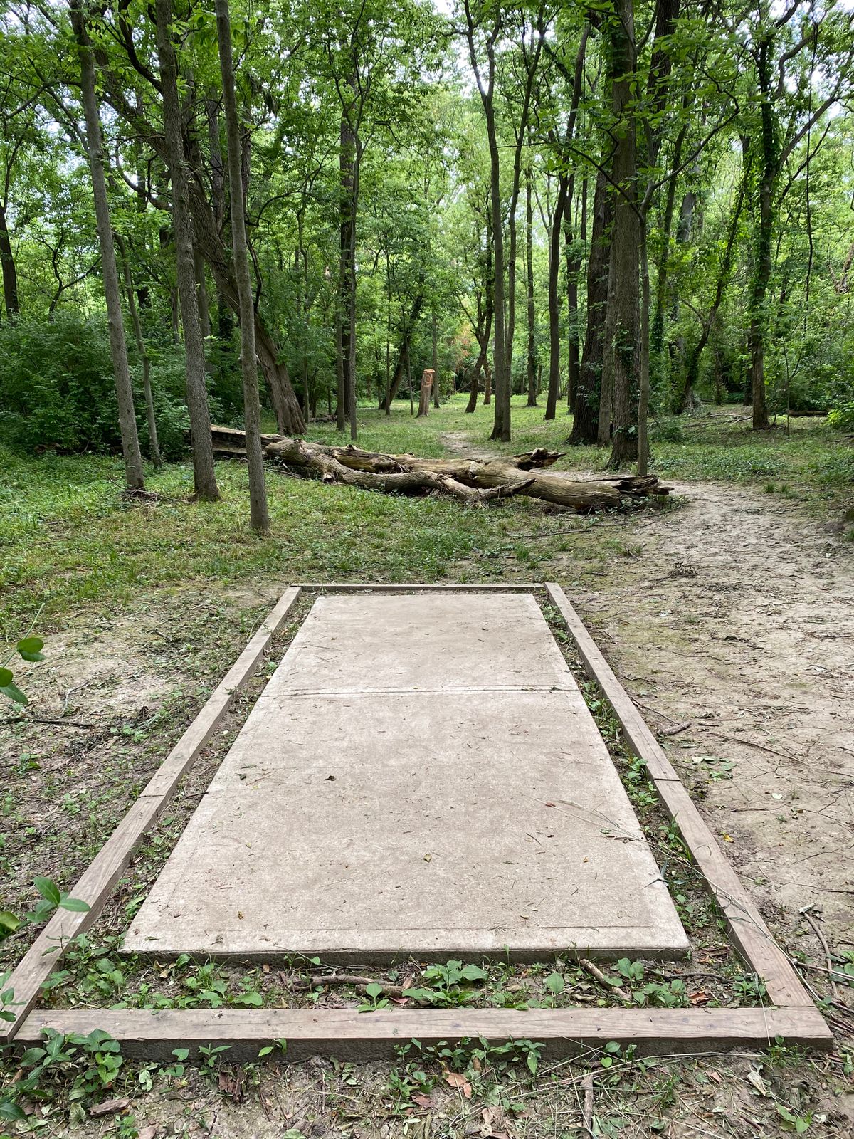Hole 14 (Tee Box)