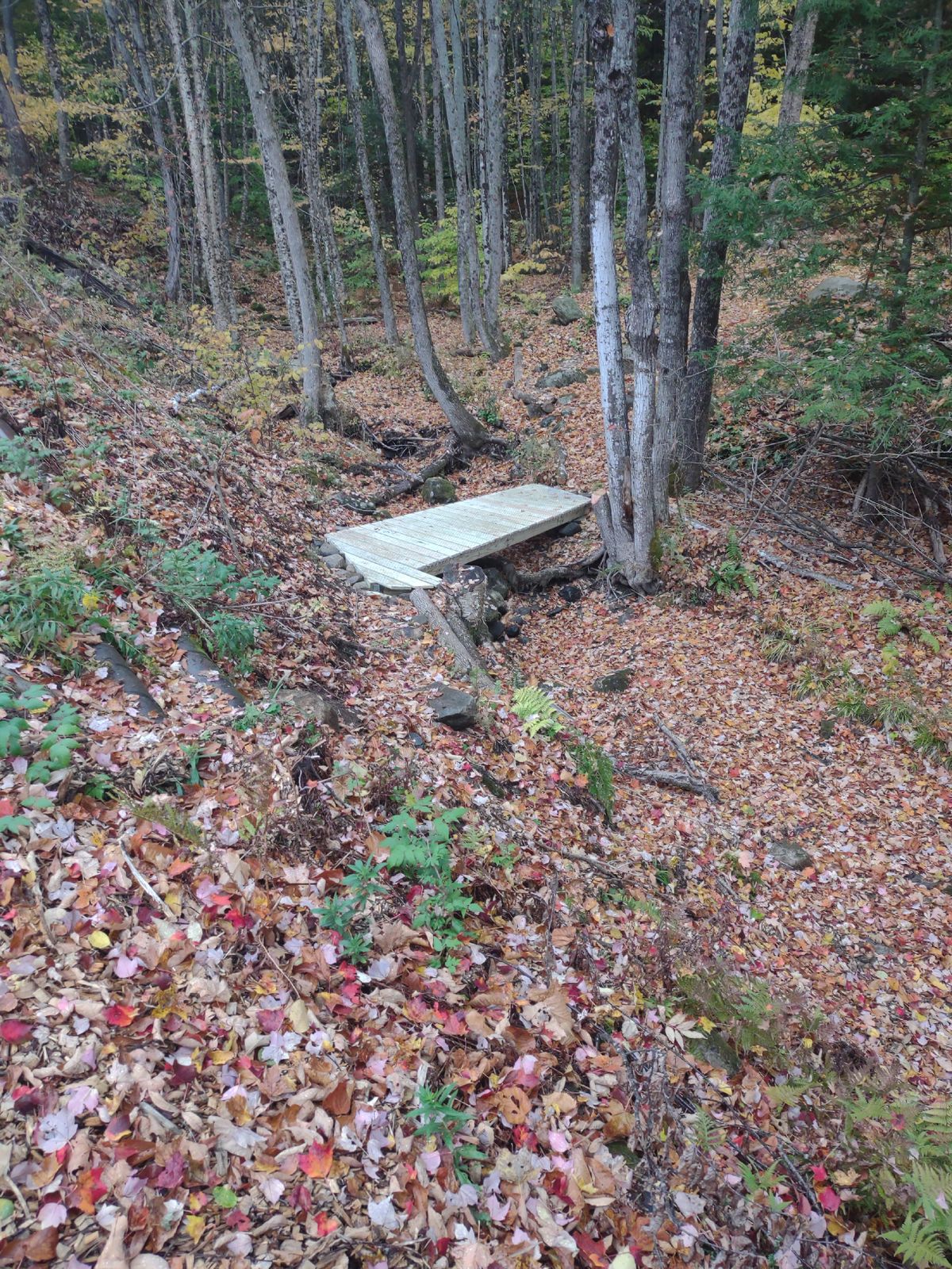 bridge @ hole 3