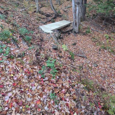 bridge @ hole 3
