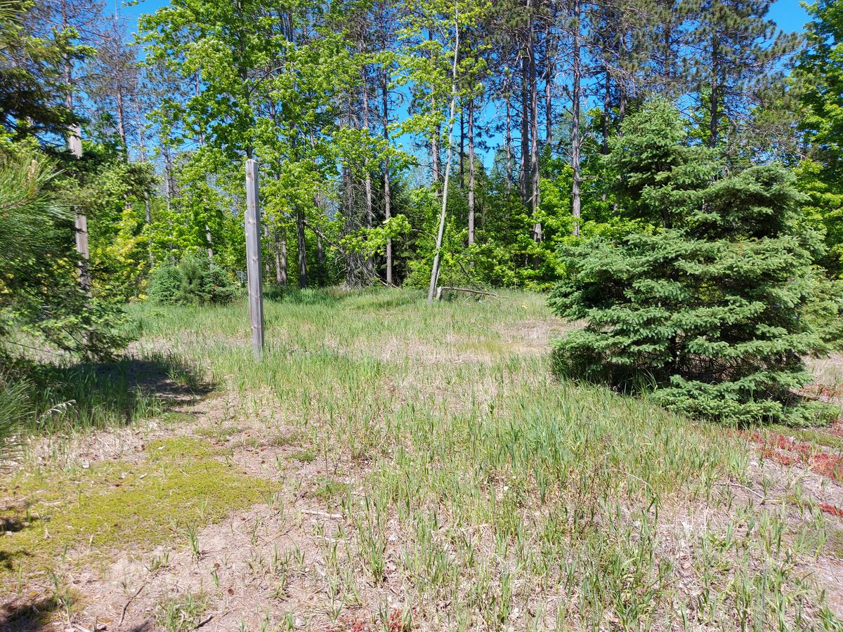 Fairway 5 🌲🌳🌲🌳🌲