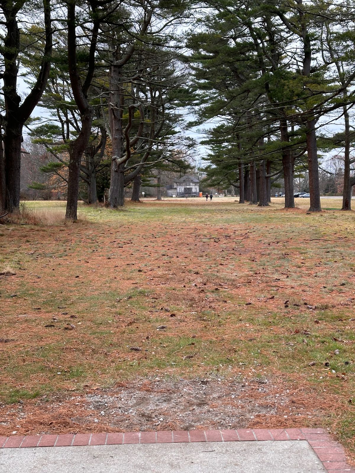 Hole 21 from the Blue pad