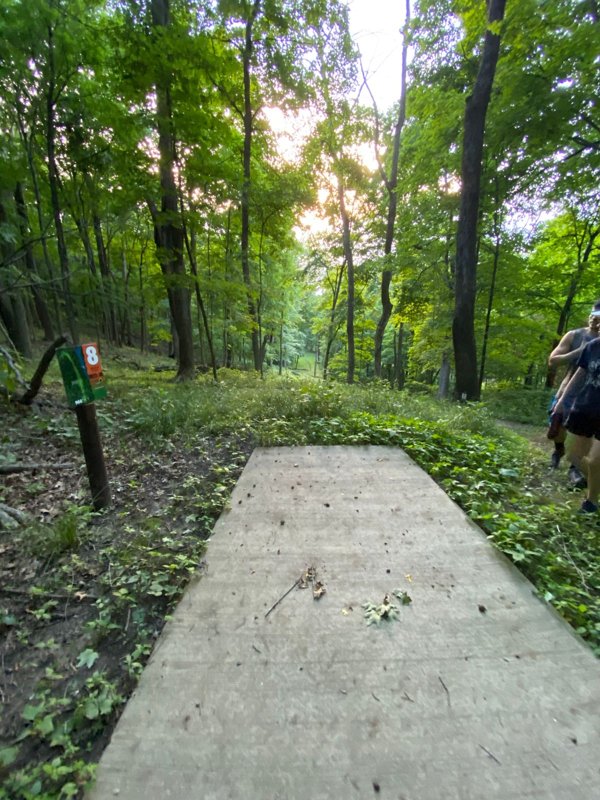 Hole 8 long tee
