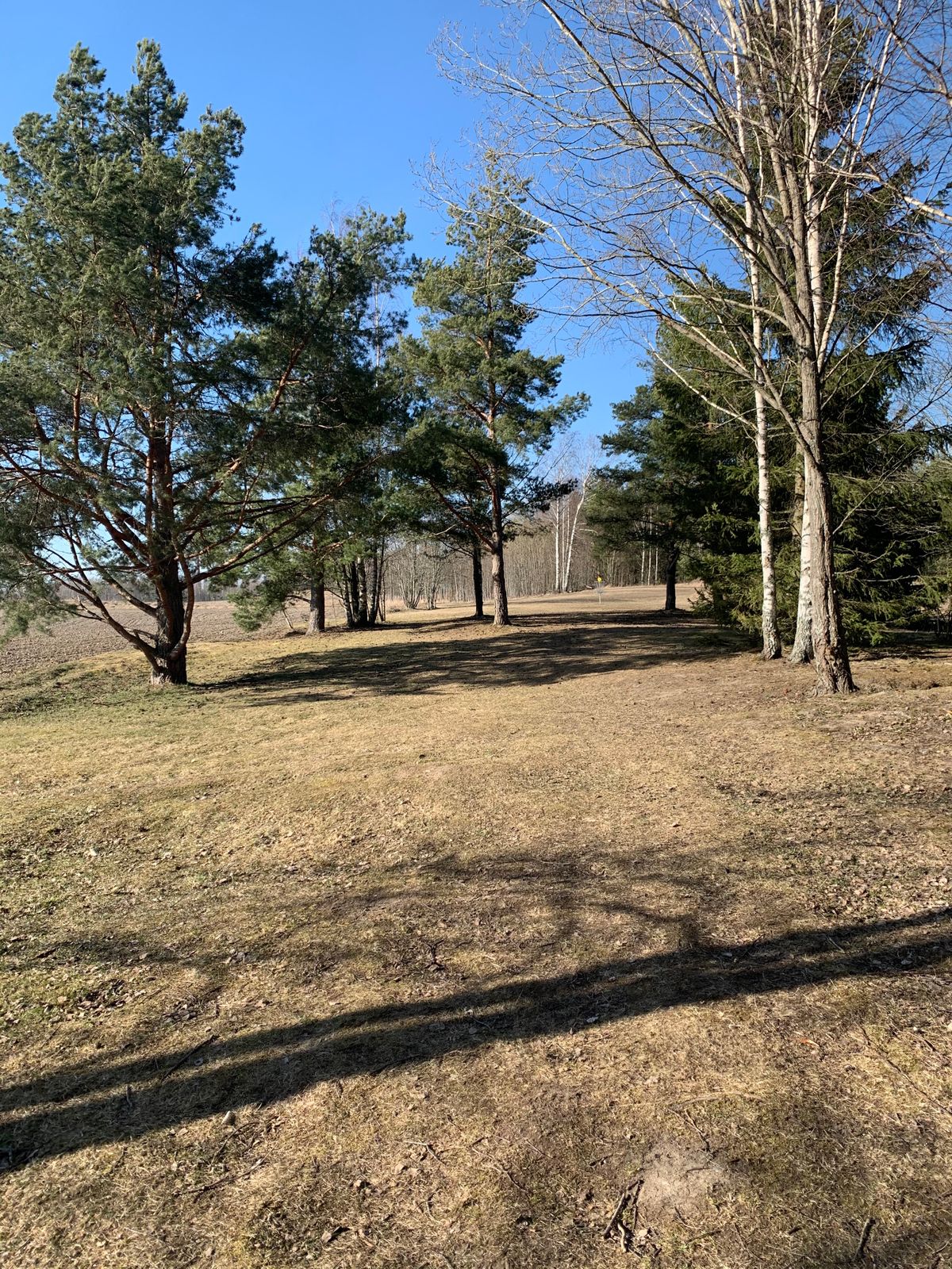 Hole 4 // Dropzone