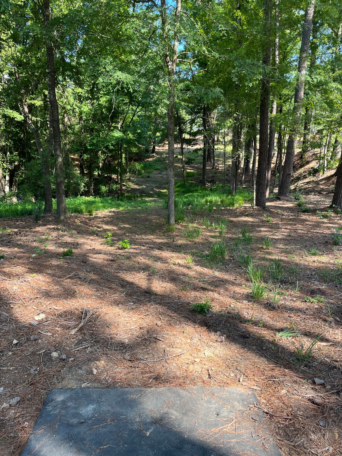 Hole 9 tee box