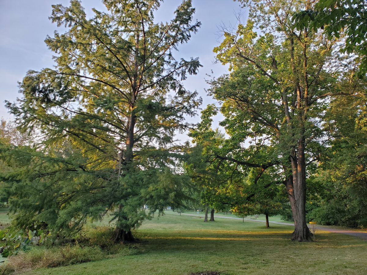 Hole 3 Green