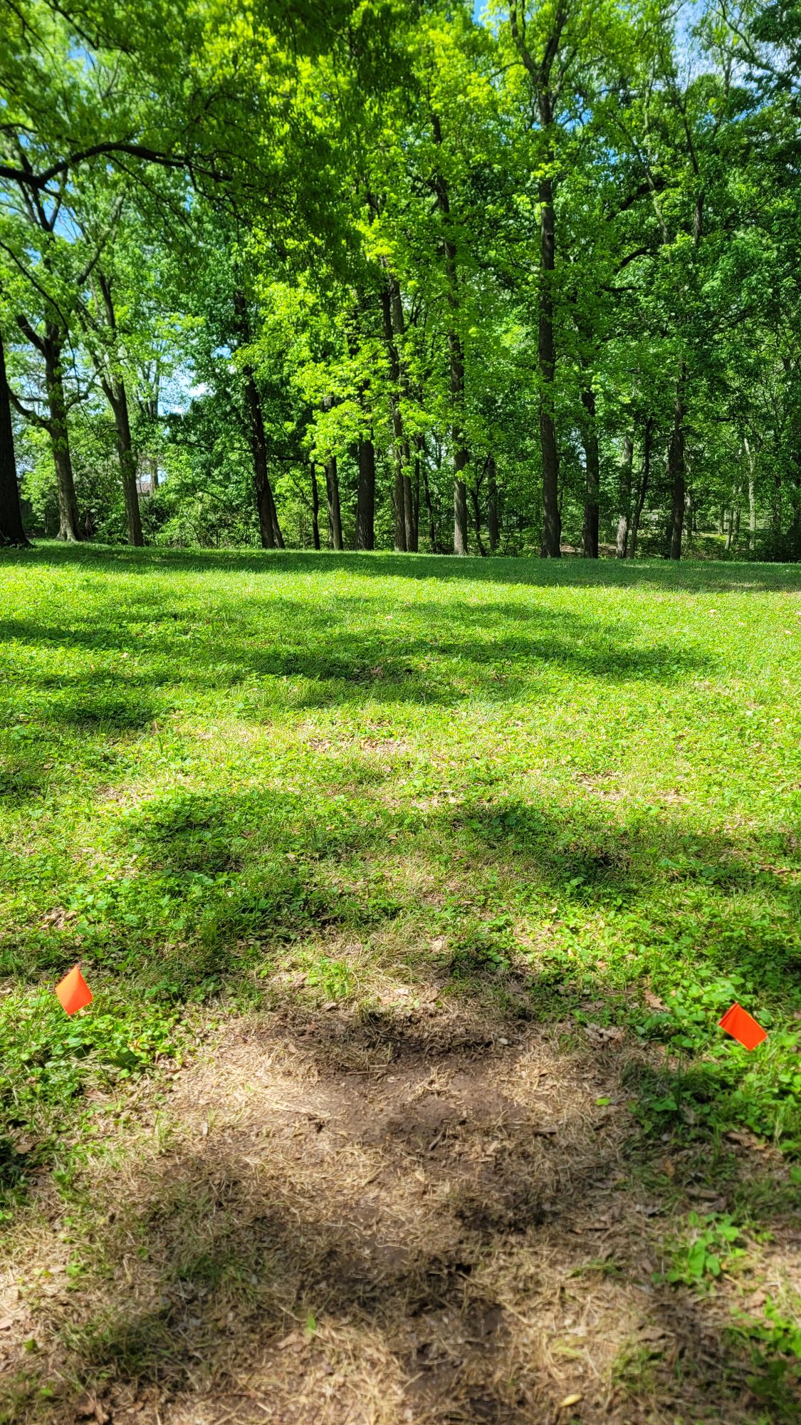 Hole 15 - slight dog leg right, over a small hill.