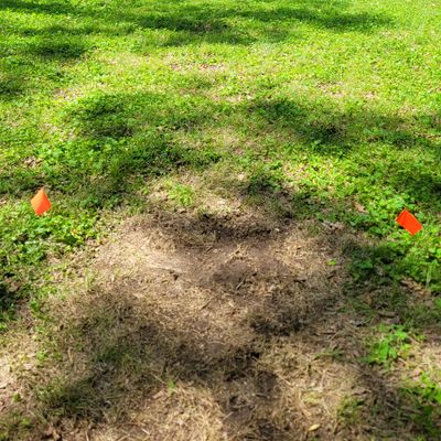 Hole 15 - slight dog leg right, over a small hill.