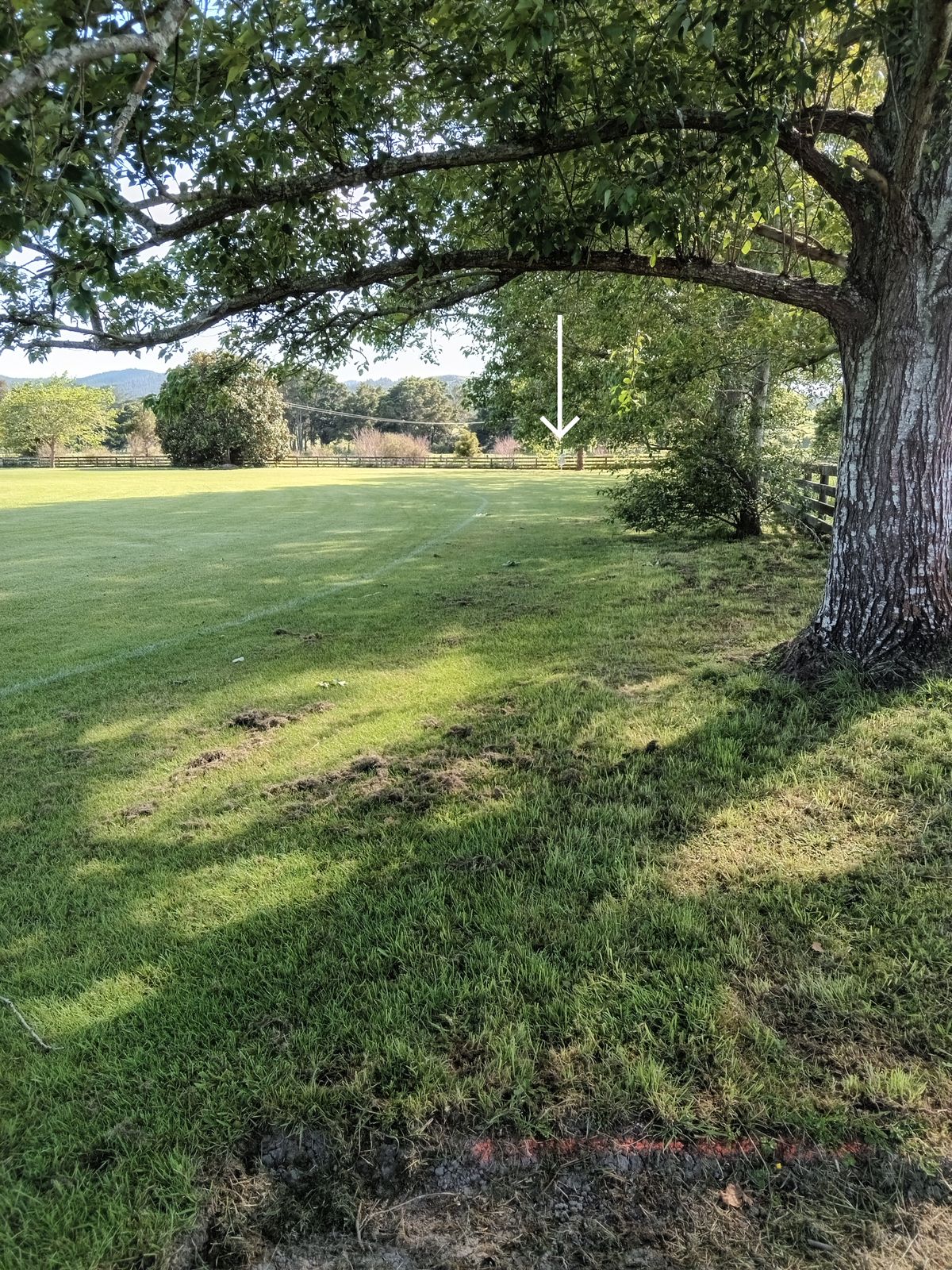 Hole 8