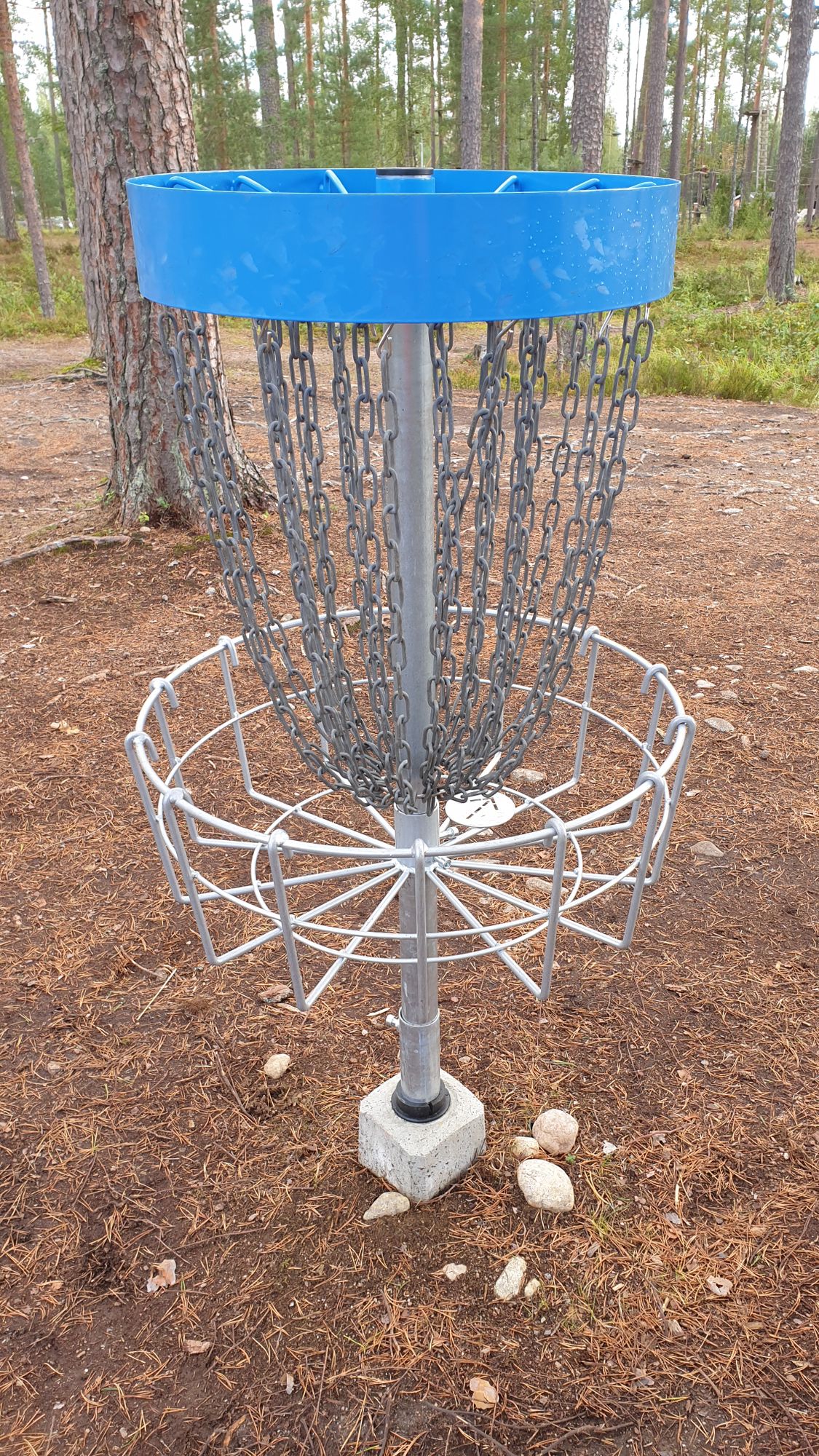basket