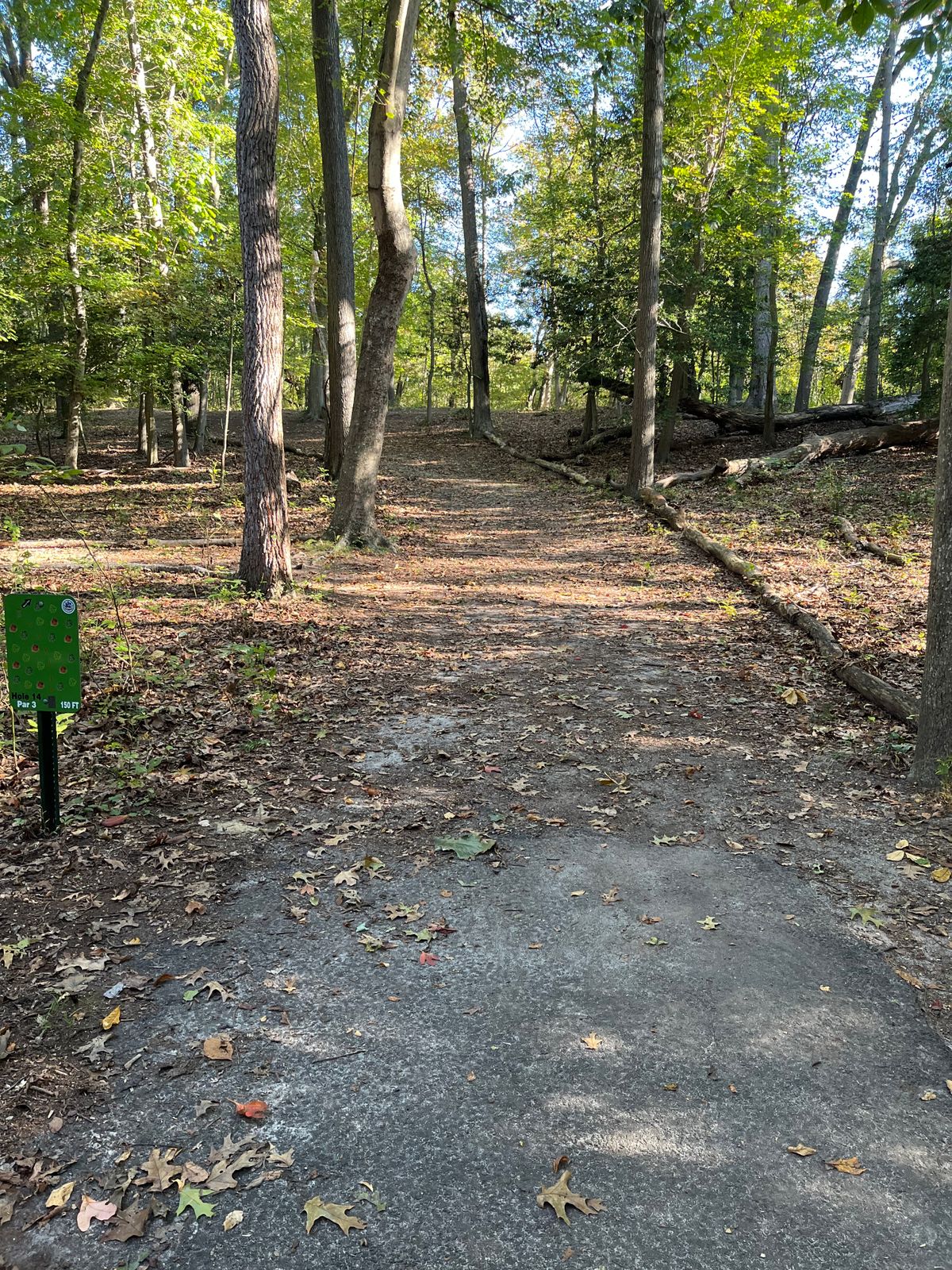 Hole 14 tee