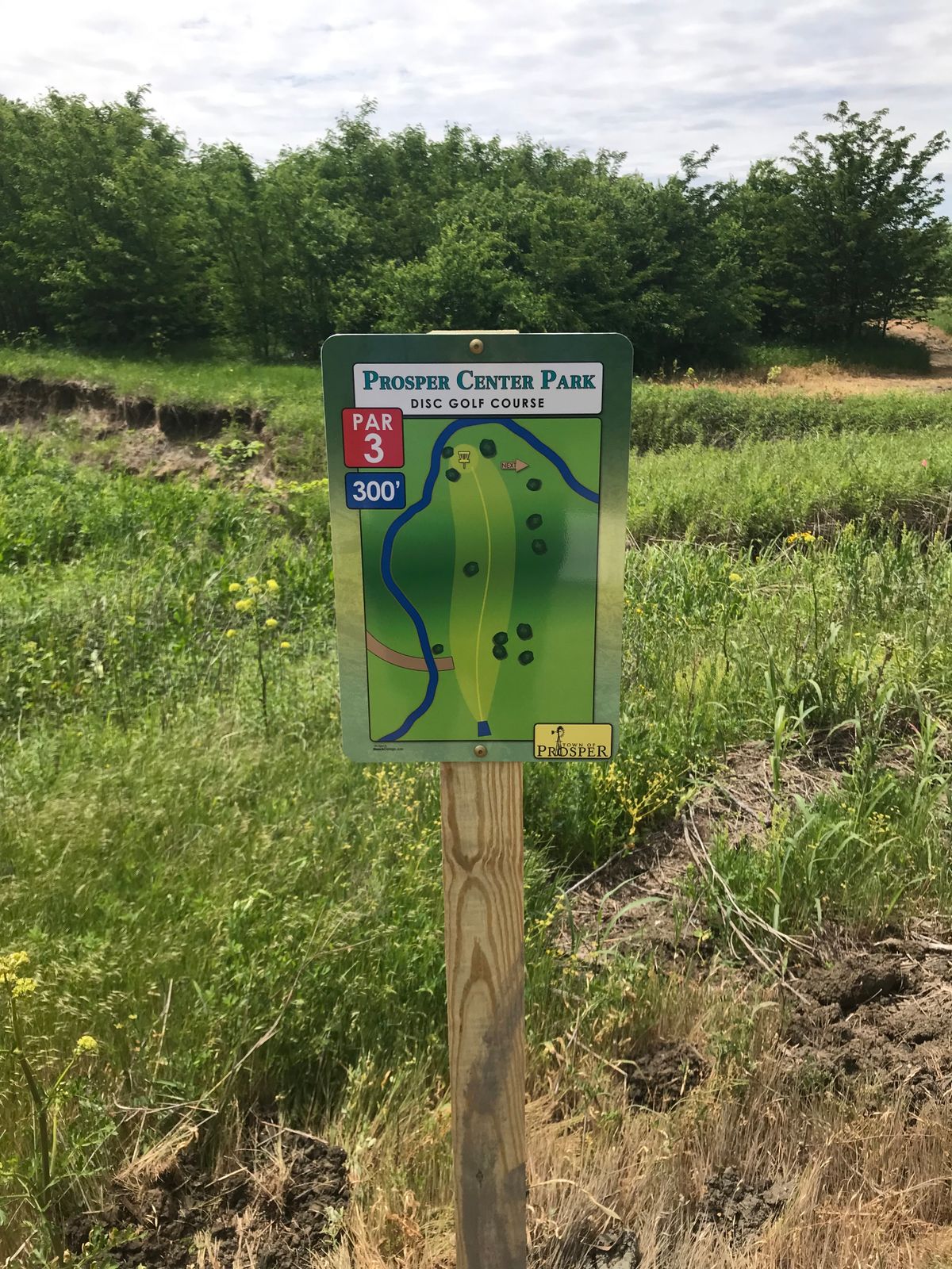 Hole 4 Map