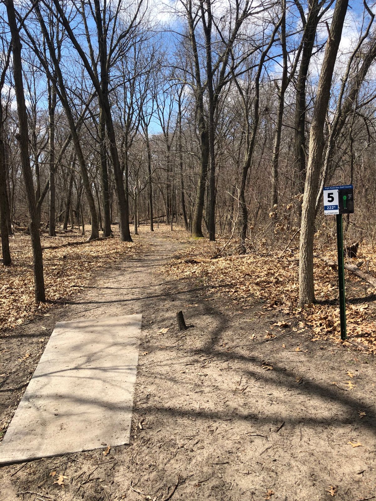 Hole 5 tee