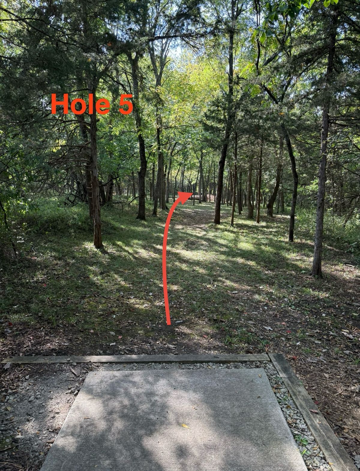 Hole 5 gradual left to right with tight gap, far right is jail and difficult to approach basket from
