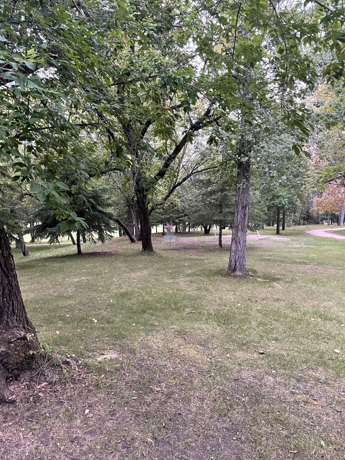 Hole 8 Approach