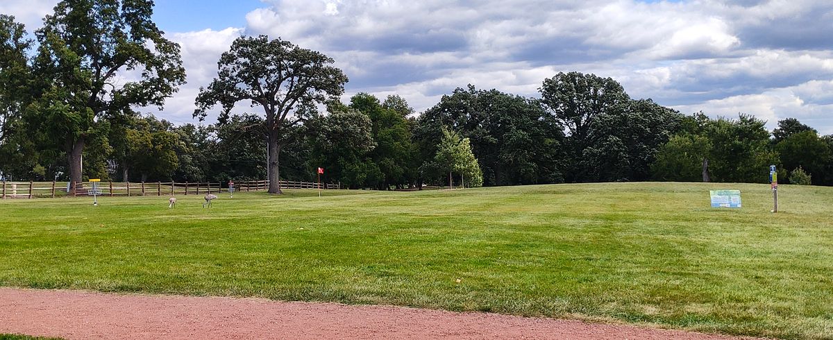 Hole 1 tee, hole 4 pin with Sandhill Cranes
