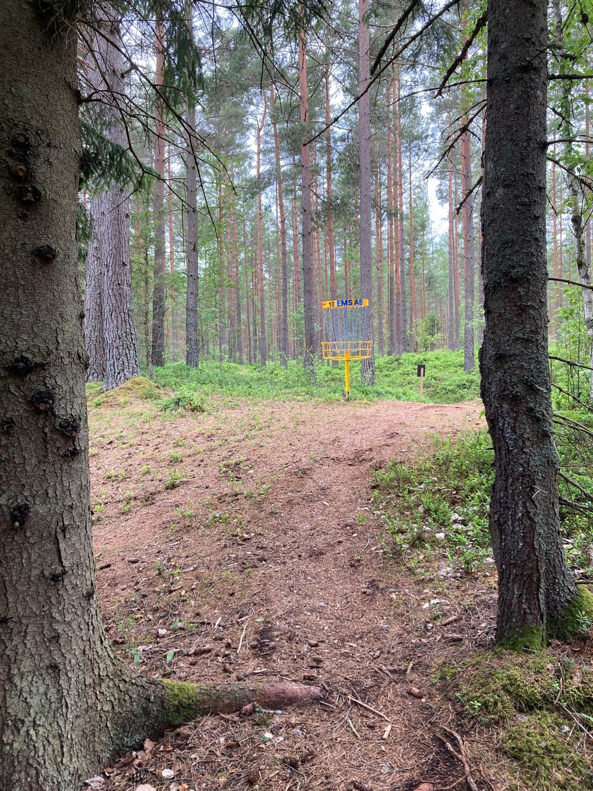 Birdiechans på hål 10