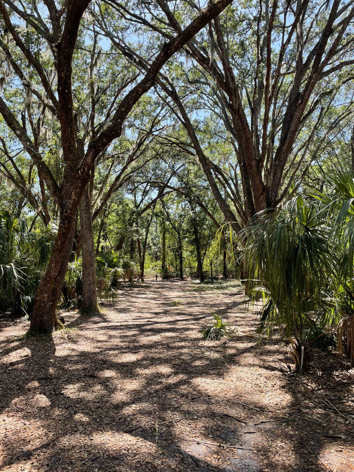 Hole 5