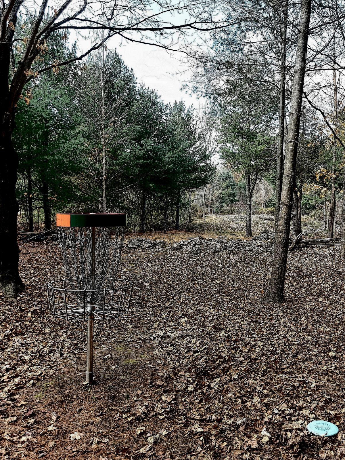 Reverse back up the fairway on hole 1. 🇨🇦🍂🇨🇦🍂🇨🇦🍂👍👌👍👌👍