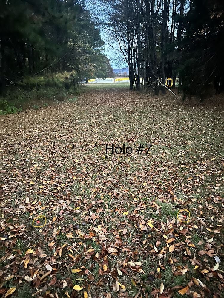 Hole 7