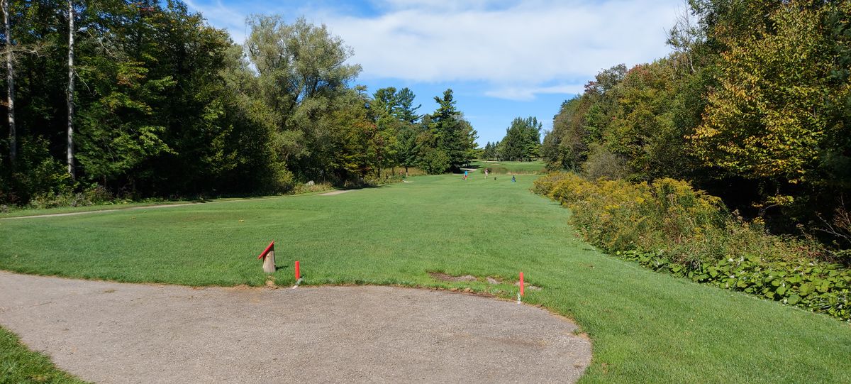 Tee pad 13.🇨🇦🍀🇨🇦🌳🇨🇦