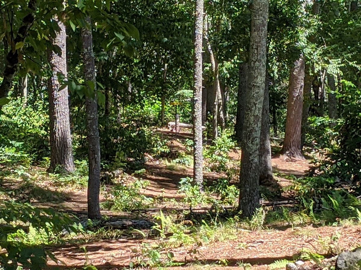 Hole 9