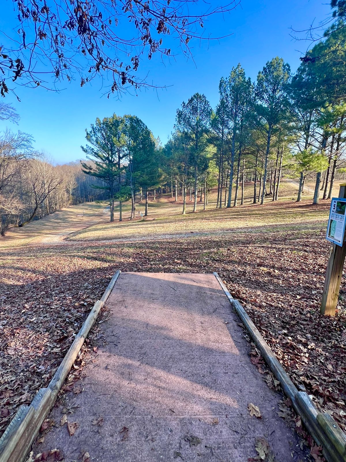 Hole 5 Gold Tee Pad/Fairway.