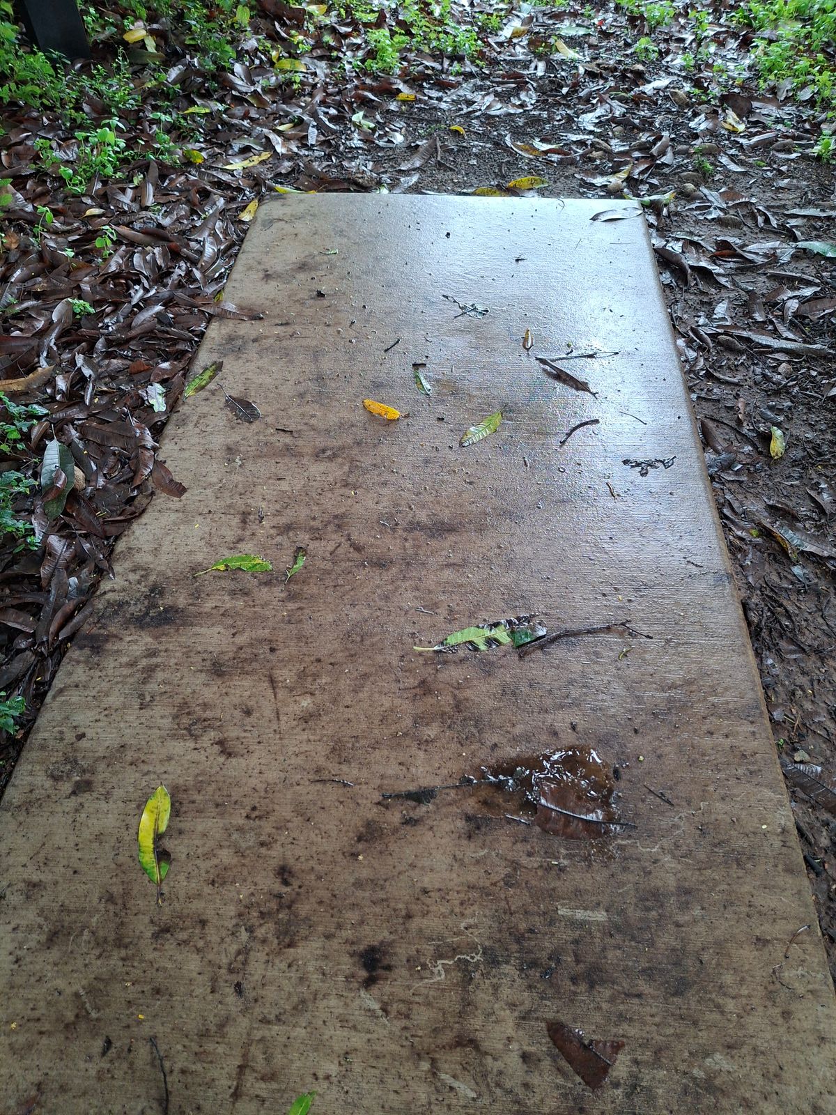Dirty tee pad