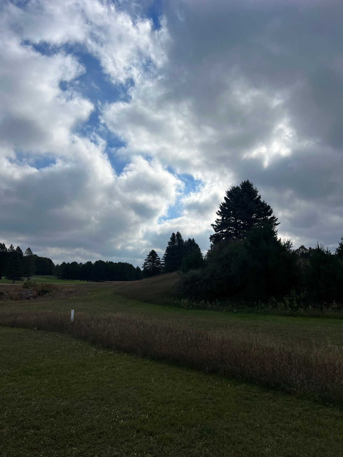 View of new hole 1s basket (from left of teepad)