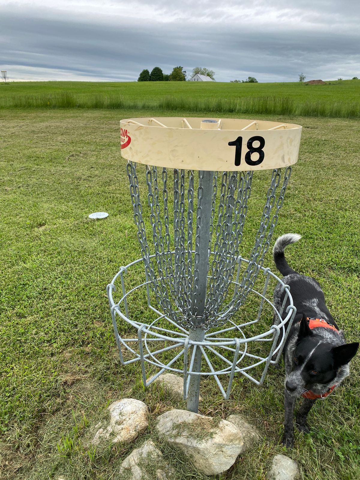 Will have to settle for a birdie. 18