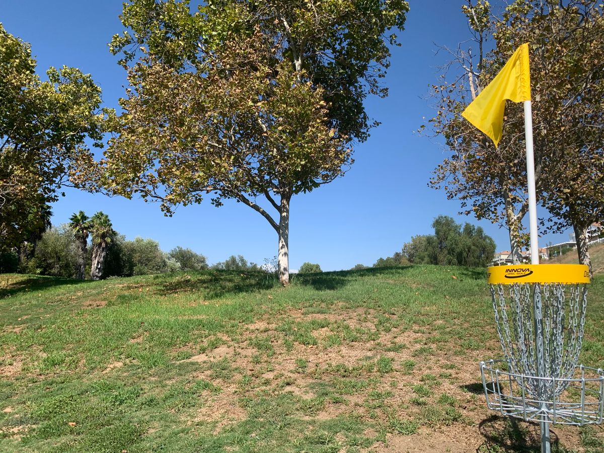 Alpha Hole 17 Basket