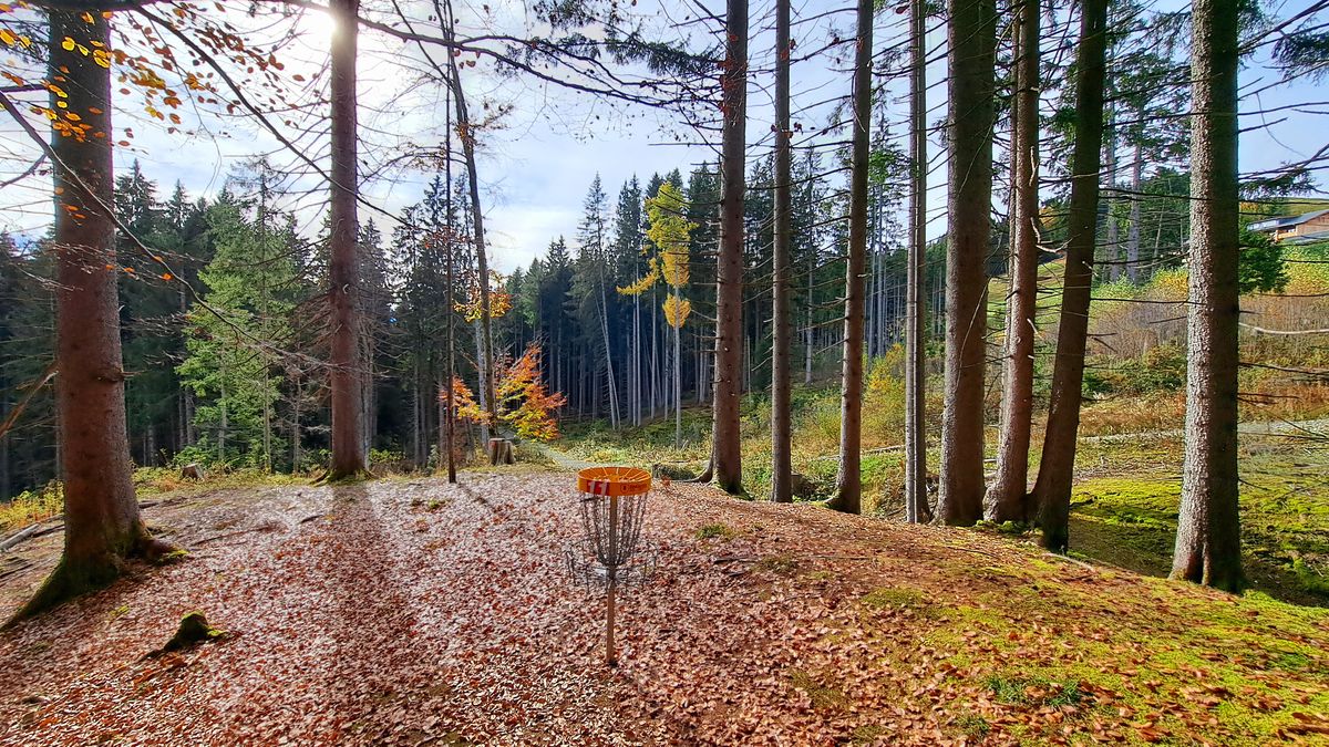 Behind basket 11 looking back over our Allgaeu Autumn.
