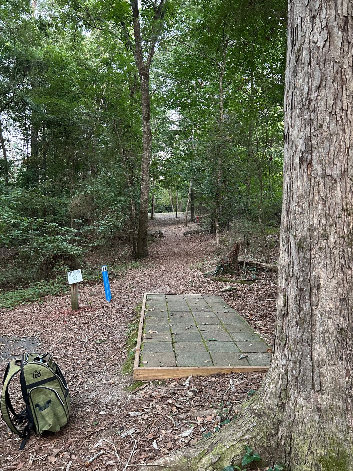 Hole 16 tee