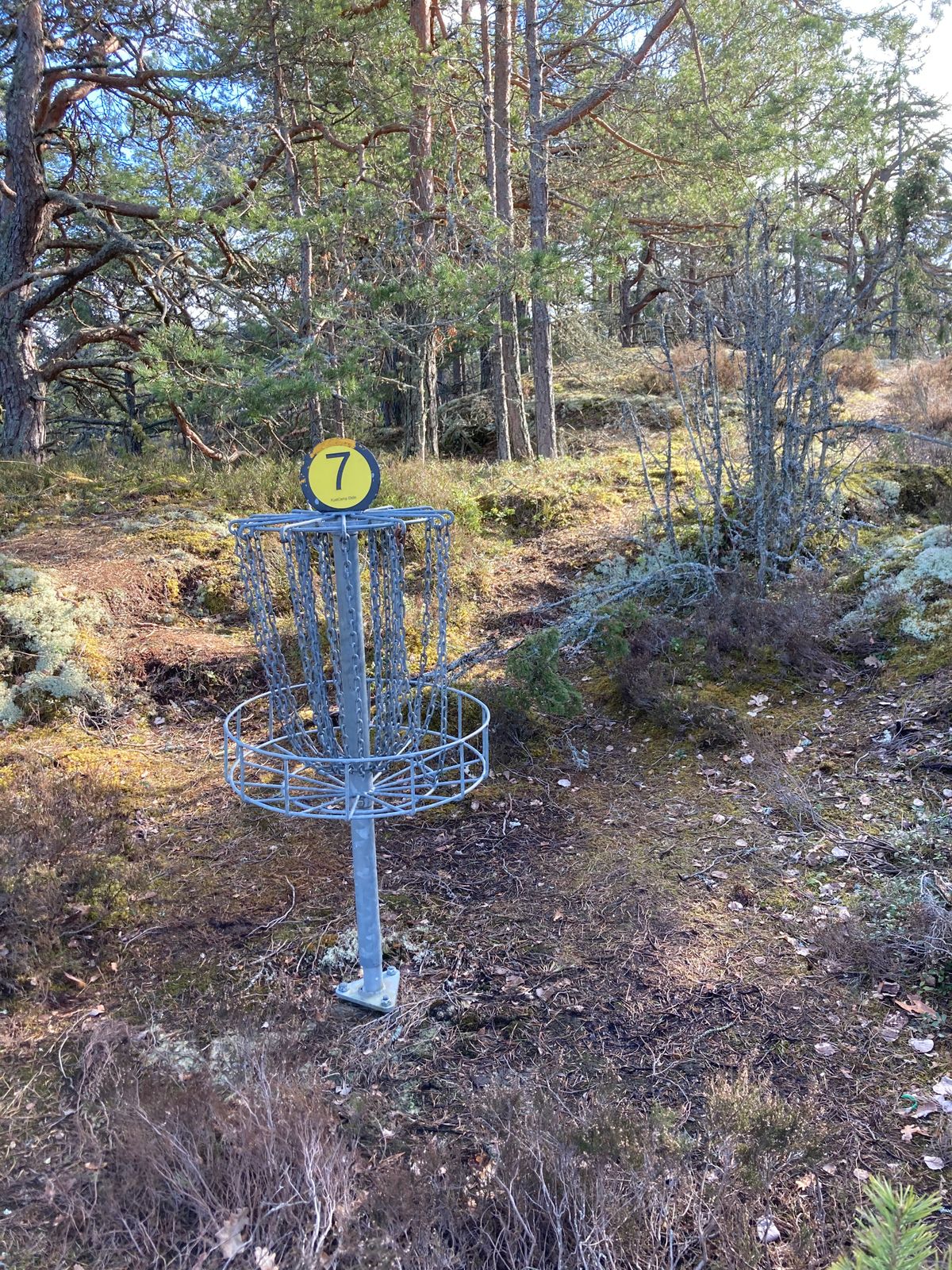 Hål 7
