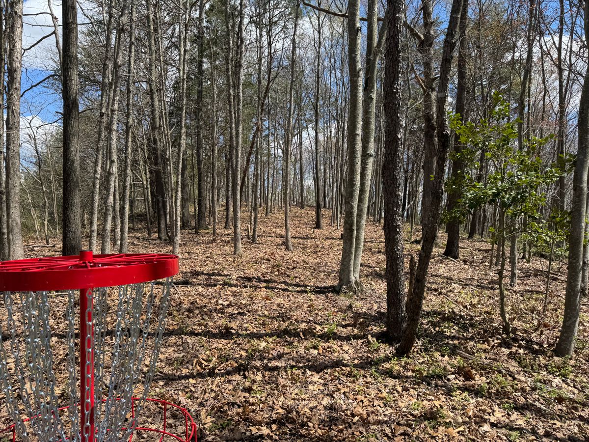 Hole 13 basket towards tee